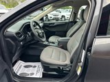 Used 2020 Ford Escape S image 5