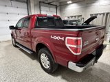 Used 2013 Ford F150 Lariat w/ Mid Equipment Group image 6