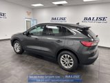 Used 2020 Ford Escape SE image 4