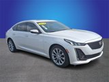 New 2024 Cadillac CT5 Premium Luxury w/ Parking Package image 3