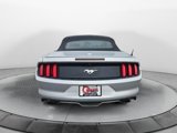Used 2016 Ford Mustang Premium image 4