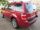 Used 2011 Ford Escape XLT w/ Cargo Pkg image 5