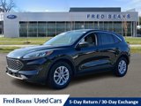 Certified 2022 Ford Escape SE w/ Convenience Package image 3