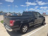 Used 2015 Ford F150 XLT w/ Equipment Group 302A Luxury image 2