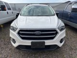 Used 2019 Ford Escape Titanium image 2