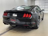 Used 2015 Ford Mustang Coupe w/ Equipment Group 051A image 5