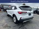Used 2020 Ford Escape SE image 3