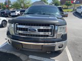 Used 2013 Ford F150 XLT w/ Luxury Equipment Group image 2