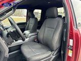 Used 2019 Ford F150 XLT w/ Equipment Group 301A Mid image 6