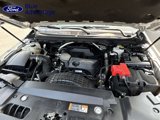 Used 2019 Ford Ranger XLT w/ FX4 Off-Road Package image 3