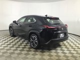 Used 2023 Lexus UX 250h AWD w/ Premium Package image 5
