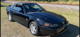 Used 2004 Ford Mustang Deluxe Convertible image 2