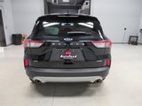 Used 2022 Ford Escape SE w/ Convenience Package image 5