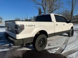 Used 2011 Ford F150 Platinum image 6
