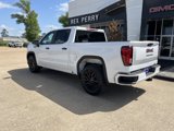 New 2025 GMC Sierra 1500 Pro w/ Graphite Edition image 4