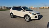 Used 2014 Ford Escape SE w/ Equipment Group 201A image 2
