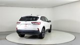 Used 2022 Ford Escape SE w/ SE Sport Appearance Package image 6