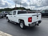 Used 2012 Chevrolet Silverado 1500 LT w/ All-Star Edition image 6