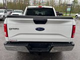 Used 2016 Ford F150 XLT image 6