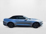 Used 2022 Ford Mustang Premium image 4