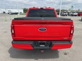 Used 2021 Ford F150 XLT w/ Equipment Group 302A High image 6