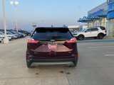 Used 2023 Ford Edge SEL image 4