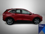 Certified 2022 Ford Escape SEL w/ Technology Package image 4