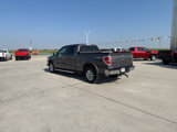 Used 2013 Ford F150 Lariat w/ Lariat Chrome Pkg image 3