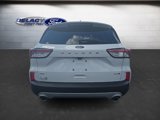 Used 2020 Ford Escape SE image 4
