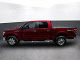 Used 2014 Ford F150 XLT w/ Equipment Group 302A Luxury image 2