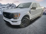 Certified 2021 Ford F150 XLT w/ Equipment Group 302A High image 2