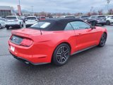 Used 2022 Ford Mustang Premium image 4