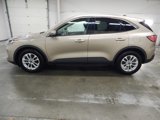 Used 2020 Ford Escape SE image 3