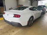 Used 2024 Ford Mustang Coupe image 5