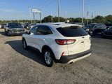 Used 2020 Ford Escape SE image 5