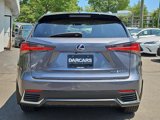 Used 2021 Lexus NX 300h AWD w/ Premium Package image 5