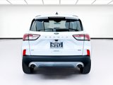Used 2020 Ford Escape SE Sport image 5