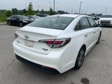 Used 2017 Hyundai Sonata Limited image 5