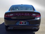 Used 2020 Dodge Charger SXT w/ Leather Interior Group image 4