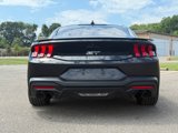 Used 2024 Ford Mustang GT Premium image 6