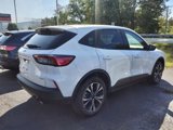 Used 2022 Ford Escape SE image 2