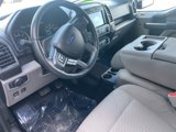 Used 2017 Ford F150 XLT w/ Equipment Group 302A Luxury image 6