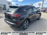 Used 2024 Ford Escape ST-Line w/ Tech Pack #1 image 3