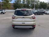 Used 2018 Ford Escape Titanium image 4