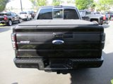 Used 2013 Ford F150 FX4 w/ Luxury Equipment Group image 5