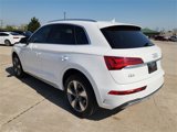 Used 2023 Audi Q5 2.0T Premium Plus w/ Premium Plus Package image 5