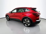 New 2025 Ford Escape ST-Line Elite w/ Tech Pack #1 image 4