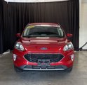 Used 2020 Ford Escape SEL image 3