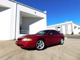 Used 1998 Ford Mustang Cobra image 2