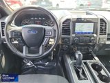 Certified 2019 Ford F150 XLT w/ Equipment Group 302A Luxury image 4